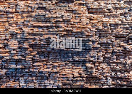 Die detaillierte Textur eines Stücks Treibholz am Strand in der Nähe von Yachats, Oregon, USA Stockfoto
