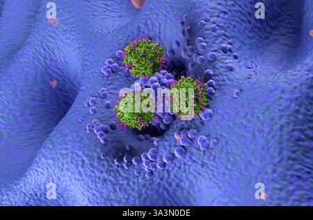 CAR-T-Zell-Therapie beim Magenkarzinom (Magen) - isometrische Darstellung 3D-Illustration Stockfoto