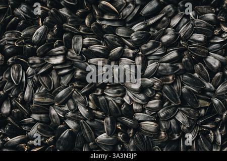 Geröstete Sonnenblumenkerne, Textur, Lebensmittelhintergrund. Stockfoto