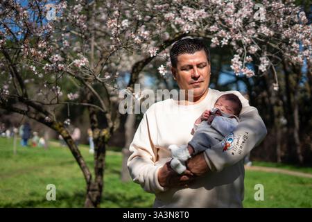 Stolzer Vater, der seinen schlafenden neugeborenen Sohn im Frühling unter einem blühenden Mandelbaum in einem sonnigen Park liegend, genießt einen friedlichen Familienmoment Stockfoto