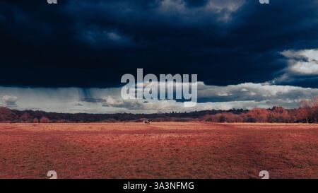Landschaftlich reizvolle Aussicht auf die englische Landschaft Stockfoto
