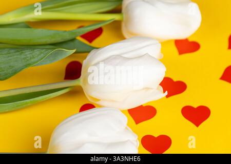Schöne weiße Tulpen auf gelbem Papier mit roten Herzen, roten Herzen und weißen Tulpenblüten auf gelbem Papier, Nahaufnahme Stockfoto