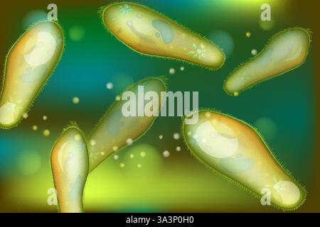 Paramecium-Kolonie Im Mikroskop. Mikroskopische Darstellung von Protozoen im Wasser. Biologische Darstellung der Parameciumzellen. Stock Vektor