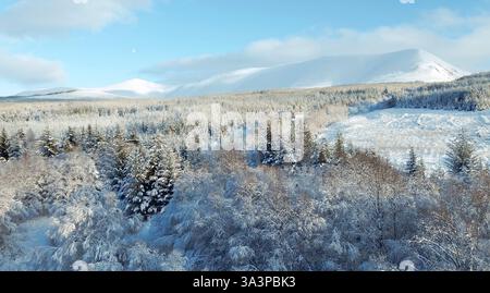 Blick auf die Landschaft des Ben Wyvis Berges an einem Wintertag Stockfoto