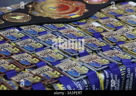 ODESSA, UKRAINE - 10. März 2025: Ukrainischer Boxcup unter Männern und Frauen. Eröffnungszeremonie des Wettbewerbs, des Konzerts, der Preise, der Trainer, der Richter, Par Stockfoto