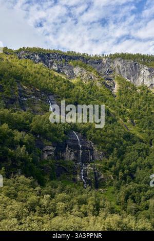 Ein kleiner Bach, der im Juni 2024 den Berg des Laerdal-Tals in Westnorwegen hinabfließt. Stockfoto