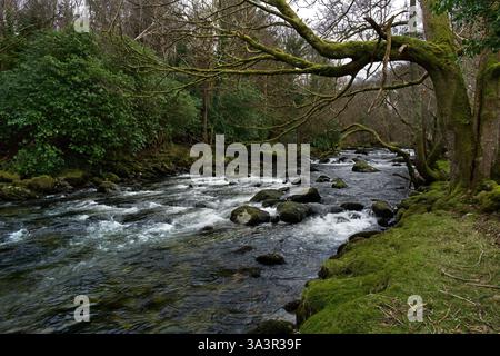Der Ogwen River entspringt im Lake Ogwen in Snowdonia, ist aber hier in seinem unteren Flusslauf nahe der Halfway Bridge in der Nähe von Tregarth Village zu sehen Stockfoto