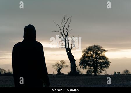 Eine einsame gruselige Kapuzenfigur, zurück zur Kamera. Blick auf Bäume, die sich gegen den Sonnenuntergang an einem düsteren Wintertag auf dem Land abzeichnen Stockfoto
