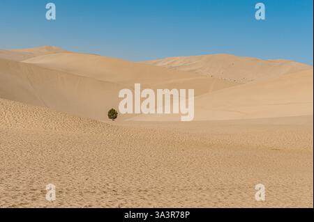 Die berühmten singenden Sanddünen der Wüste Gobi in Dunhuang. Die Mingsha Sanddünen in Dunhuang an der Seidenstraße sind eine wichtige Touristenattraktion. Stockfoto