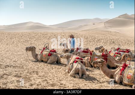Die berühmten singenden Sanddünen der Wüste Gobi in Dunhuang. Die Mingsha Sanddünen in Dunhuang an der Seidenstraße sind eine wichtige Touristenattraktion. Stockfoto