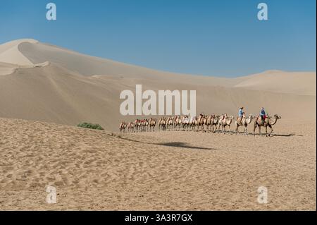 Die berühmten singenden Sanddünen der Wüste Gobi in Dunhuang. Die Mingsha Sanddünen in Dunhuang an der Seidenstraße sind eine wichtige Touristenattraktion. Stockfoto