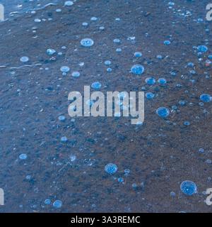 Blasen in einer eisigen Pfütze für Texturen und Hintergründe Stockfoto