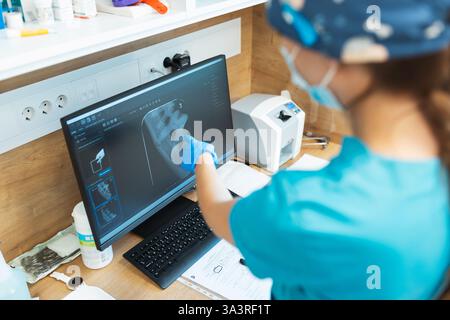 Tierärzte, die Hundezahnoperationen an Hundezähnen durchführen Stockfoto