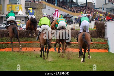 Down Royal, Lisburn, County Antrim, Nordirland. März 2025. St Patrick's Day Race Meeting - Bluegrass Horse Feed Rated Novice Chase - Rennen gewonnen von Lichtkeeper (Nummer 6 (gelbe/marineblaue Tunika), geritten von Danny Gilligan. Quelle: CAZIMB/Alamy Live News. Stockfoto