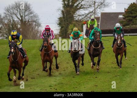 Down Royal, Lisburn, County Antrim, Nordirland. März 2025. St Patrick's Day Race Meeting - Bluegrass Horse Feed Rated Novice Chase - Rennen gewonnen von Lichtkeeper (Nummer 6 (gelbe/marineblaue Tunika), geritten von Danny Gilligan. Quelle: CAZIMB/Alamy Live News. Stockfoto