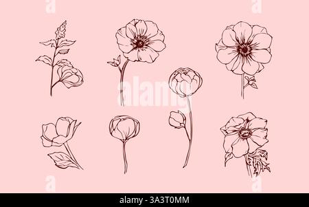 Anemonen Blumen und Blätter Skizze Stock Vektor