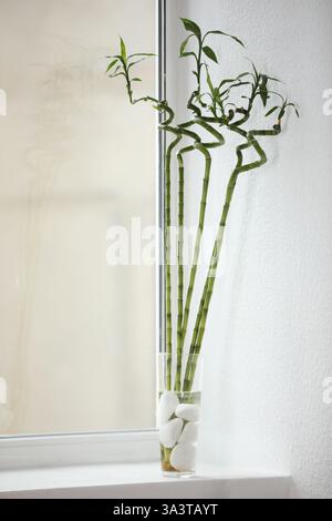 Dekorative grüne Bambusstiele in Vase auf Fensterbank im Innenbereich Stockfoto