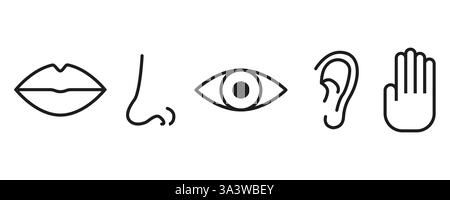 Symbole der menschlichen Sinne. Augenohr Hand. Lippen und Nase. Sinneswahrnehmungssymbole. Stock Vektor