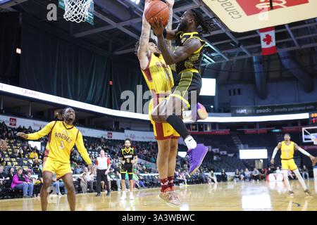 London, Kanada. März 2025. Die London Lightning führten die Newfoundland Rogues 57-52 zur Halbzeit an. Marcus Ottey (1) von The London Lightning fährt im 1. Quartal ins Netz. Quelle: Luke Durda/Alamy Live News Stockfoto