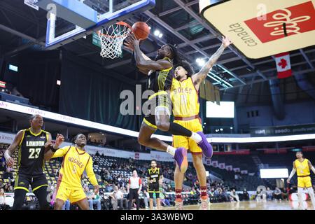London, Kanada. März 2025. Die London Lightning führten die Newfoundland Rogues 57-52 zur Halbzeit an. Marcus Ottey (1) von The London Lightning fährt im 1. Quartal ins Netz. Quelle: Luke Durda/Alamy Live News Stockfoto
