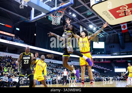 London, Kanada. März 2025. Die London Lightning führten die Newfoundland Rogues 57-52 zur Halbzeit an. Marcus Ottey (1) von The London Lightning fährt im 1. Quartal ins Netz. Quelle: Luke Durda/Alamy Live News Stockfoto