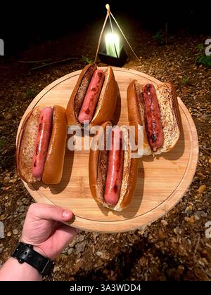 Traditional hot dog with sausage grilled on the barbecue Stockfoto