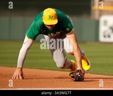 Scottsdale, Arizona, USA. März 2025. Athletics erster Baseman Tyler Soderstrom (21) feiert im Scottsdale Stadium in Scottsdale, Arizona einen Hit im Frühjahr-Trainingsspiel der Cactus League zwischen den Athletic's und den San Francisco Giants. Michael Cazares/CSM/Alamy Live News Stockfoto