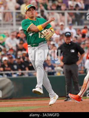 Scottsdale, Arizona, USA. März 2025. Athletics Dritter Baseman Gio Urshela (13) hat im Scottsdale Stadium in Scottsdale, Arizona einen Hit im Frühjahr-Training der Cactus League zwischen den Athletic's und den San Francisco Giants erzielt. Michael Cazares/CSM/Alamy Live News Stockfoto