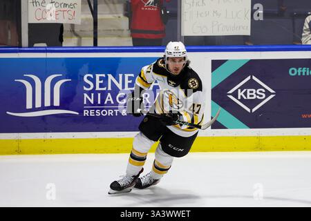 Rochester, New York, USA. März 2025. Providence Bruins Verteidiger Joey Abate (47) skatet in warm-ups vor einem Spiel gegen die Rochester Americans. Die Rochester Americans veranstalteten die Providence Bruins in einem Spiel der American Hockey League in der Blue Cross Arena in Rochester, New York. (Jonathan Tenca/CSM). Quelle: csm/Alamy Live News Stockfoto