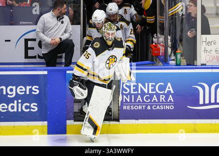 Rochester, New York, USA. März 2025. Brandon Bussi (35), Torhüter von Providence Bruins, nimmt das Eis für Aufwärmübungen vor einem Spiel gegen die Rochester Americans. Die Rochester Americans veranstalteten die Providence Bruins in einem Spiel der American Hockey League in der Blue Cross Arena in Rochester, New York. (Jonathan Tenca/CSM). Quelle: csm/Alamy Live News Stockfoto