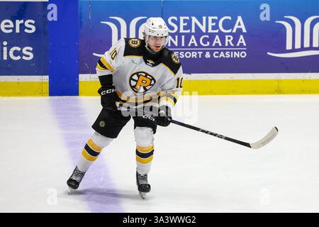 Rochester, New York, USA. März 2025. Providence Bruins Stürmer Georgii Merkulov (10) Skates in warm-ups vor einem Spiel gegen die Rochester Americans. Die Rochester Americans veranstalteten die Providence Bruins in einem Spiel der American Hockey League in der Blue Cross Arena in Rochester, New York. (Jonathan Tenca/CSM). Quelle: csm/Alamy Live News Stockfoto
