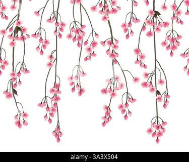 Shidare Zakura Blütenzweige auf weißem Hintergrund. Nahtloses Muster mit hängenden Sakura-Zweigen. Rosa Frühling Japanische Kirschblüten während des Hamami-Festivals. Stock Vektor