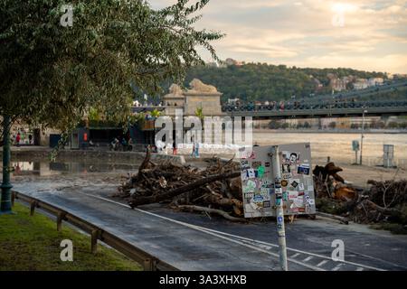 Budapest, Ungarn - 24. September 2024: Äste und Baumstämme wurden nach dem Sturm Boris vom Fluss gespült. Stockfoto