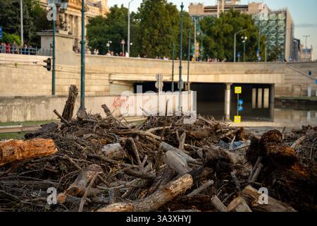 Budapest, Ungarn - 24. September 2024: Äste und Baumstämme wurden nach dem Sturm Boris vom Fluss gespült. Stockfoto