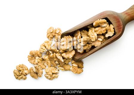 Blick von oben auf schalenförmige Walnüsse auf hölzerner Schaufel auf weißem Hintergrund. Stockfoto