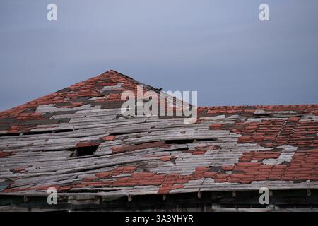 Altes Asphaltteer-Papier-Schindeldach, das repariert werden muss, Loch im Dach und Schindeln und Holz verrottetes altes Gebäude oder Shackendach, das ersetzt werden musste Stockfoto