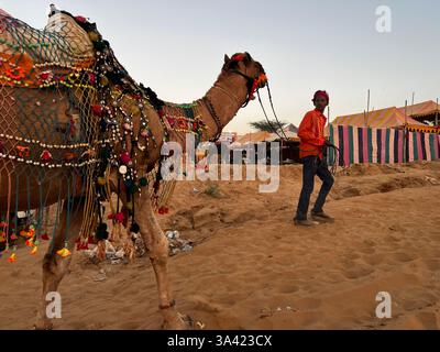 Rajasthan, Indien, Mann mit Kamelmesse Puschkar Stockfoto
