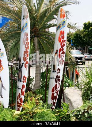 Juni 2007 - Los Angeles, KALIFORNIEN, USA - PENGUIN -. SURF'S UP - PREMIERE -. MANN VILLAGE THEATRE, WESTWOOD, KALIFORNIEN - 06.02.2007 -. NINA PROMMER/ 2007.K52981NP(Bild: © Globe Photos/ZUMAPRESS.com) Stockfoto