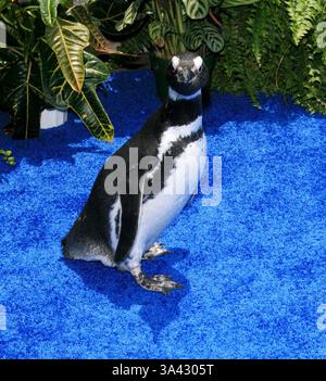 Juni 2007 - Los Angeles, KALIFORNIEN, USA - PENGUIN -. SURF'S UP - PREMIERE -. MANN VILLAGE THEATRE, WESTWOOD, KALIFORNIEN - 06.02.2007 -. NINA PROMMER/ 2007.K52981NP(Bild: © Globe Photos/ZUMAPRESS.com) Stockfoto