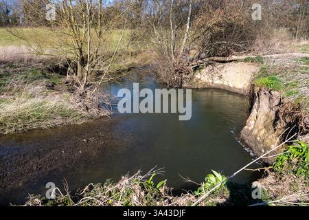 Erodierte Bank an einer Kurve in einem kleinen Fluss in der britischen Landschaft im frühen Frühjahr. Stockfoto