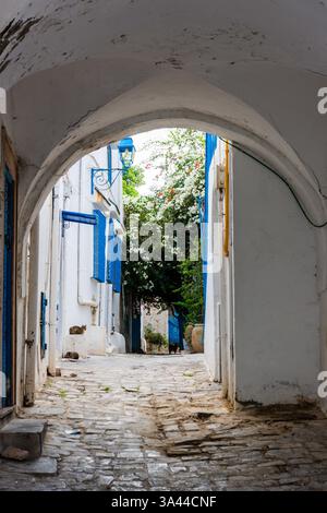 Leere Kopfsteinpflasterstraße im UNESCO-Weltkulturerbe Sidi Bou Said, Tunis, Tunesien Stockfoto