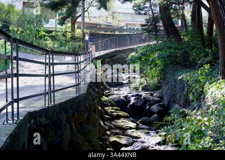 Gwangyang City, Südkorea - 3. Oktober 2021: Eine kleine Fußgängerbrücke überquert einen felsigen Fluss, der von üppigem Grün umgeben ist und eine malerische und sanfte Landschaft bietet Stockfoto