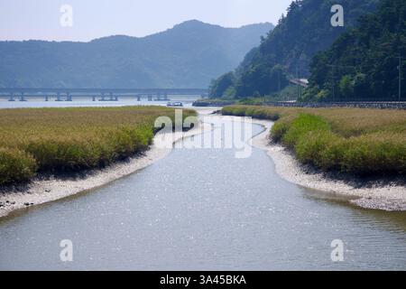 Gwangyang City, Südkorea - 3. Oktober 2021: Ein gewundener Gezeitenkanal schlängelt sich durch Marschland und fließt mit einer entfernten brücke in den Seomjin River Stockfoto