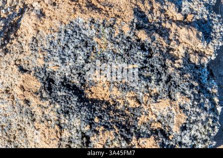 18. März 2025. Nahaufnahme von Kunststoffverschmutzungen in Form verbrannter und geschmolzener Nurdles (Pellets aus Kunststoffharz), die an einem Strand von North Norfolk nach der Kollision des Containerschiffs Solong und der Stena Immaculate vor der Mündung von Humber am 10. März 2025 angespült wurden. Stockfoto