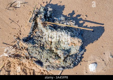 18. März 2025. Kunststoffverschmutzung in Form verbrannter und geschmolzener Nurdles (Pellets aus Kunststoffharz), die an einem Strand von North Norfolk nach der Kollision des Containerschiffs Solong und der Stena Immaculate vor der Mündung von Humber am 10. März 2025 angespült wurden. Stockfoto