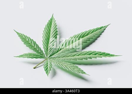 Marihuanablatt isoliert auf weiß. Studio-Foto von Cannabisblatt auf weißem Hintergrund Stockfoto