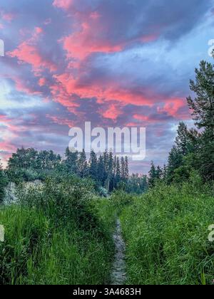 Ein schmaler, unbefestigter Pfad schlängelt sich durch üppige grüne Vegetation unter einem leuchtend rosa und blauen Himmel bei Sonnenuntergang, umgeben von dichten Waldbäumen. Stockfoto