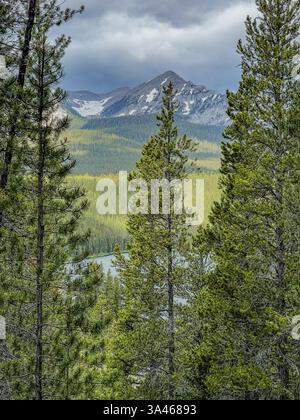 Eine bergige Landschaft mit hoch aufragenden Kiefern im Vordergrund, mit Blick auf einen fernen Bergsee mit zerklüfteten Gipfeln und bewaldeten Hängen unter einem cl Stockfoto