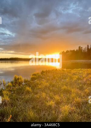 Ein wunderschöner Sonnenuntergang über einem ruhigen See, mit goldenem Licht, das auf dem Wasser reflektiert, und einer grasbewachsenen Küste, umgeben von Bäumen. Die Szene zeigt den Peacefu Stockfoto
