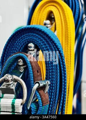 Bunte Frachtgurte hängen in einem lebhaften Display in einem lokalen Eisenwarenladen, in dem Funktion und Stil präsentiert werden Stockfoto